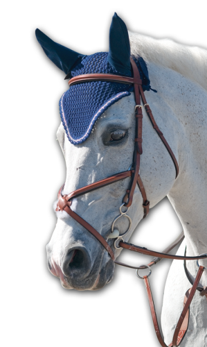 Rodrigo Pessoa Figure 8 Padded Jumper Bridle with Rubber Covered Reins